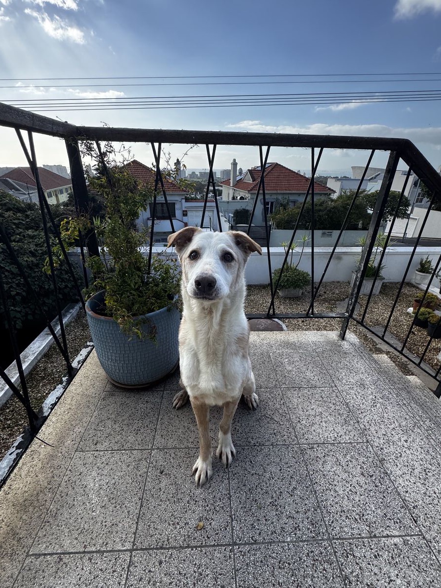 Bruno coming home